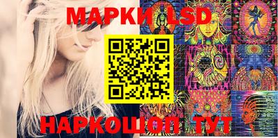 apvp Краснодар