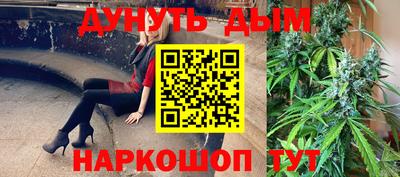 apvp Краснодар