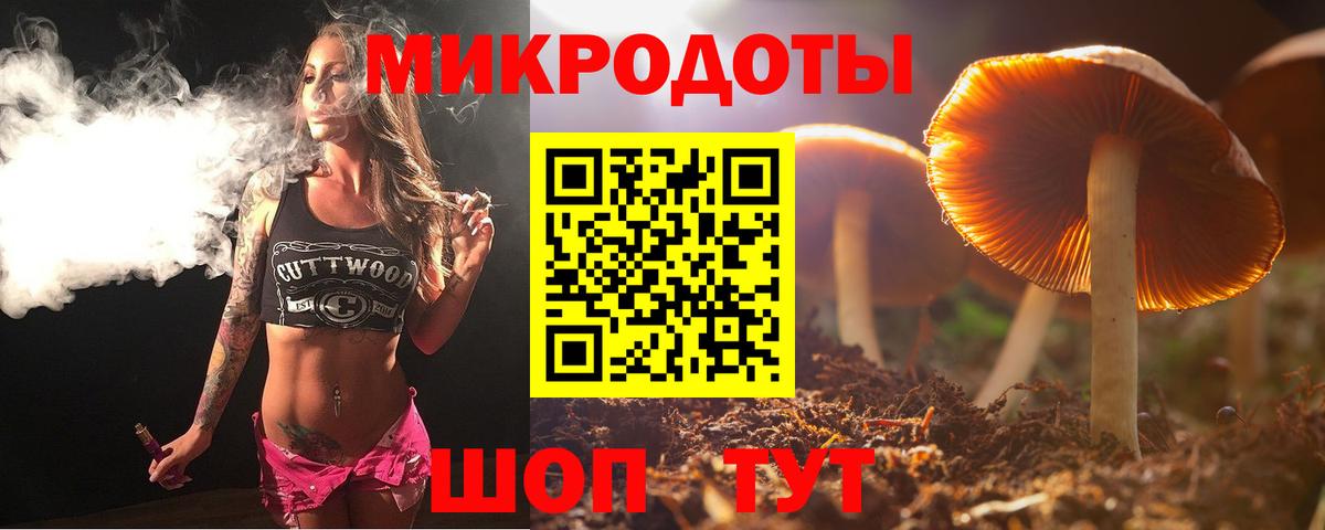 закладка  Вход с VPN  Кимовск  Псилоцибиновые грибы MAGIC MUSHROOMS  Галлюциногенные грибы прущие грибы 